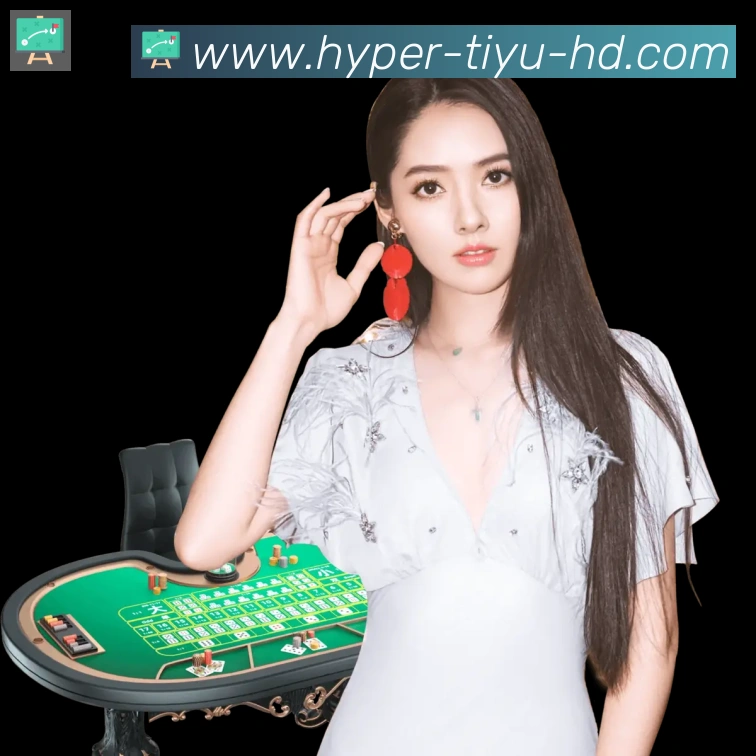 互动解说服务
